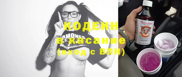 индика Алексеевка