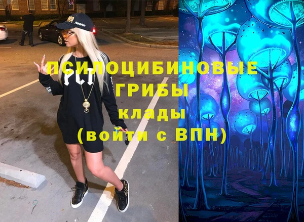 индика Алексеевка