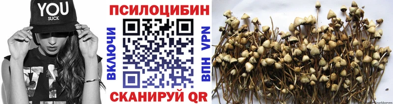 Псилоцибиновые грибы Cubensis  KRAKEN ONION  Шимановск 